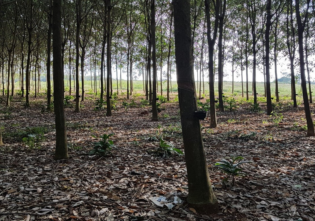 laem Son Beach-玛岛必去景点