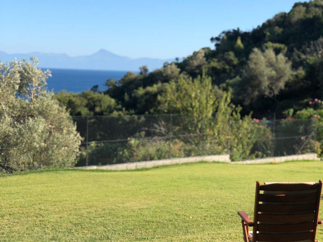 Mando Beachfront主图