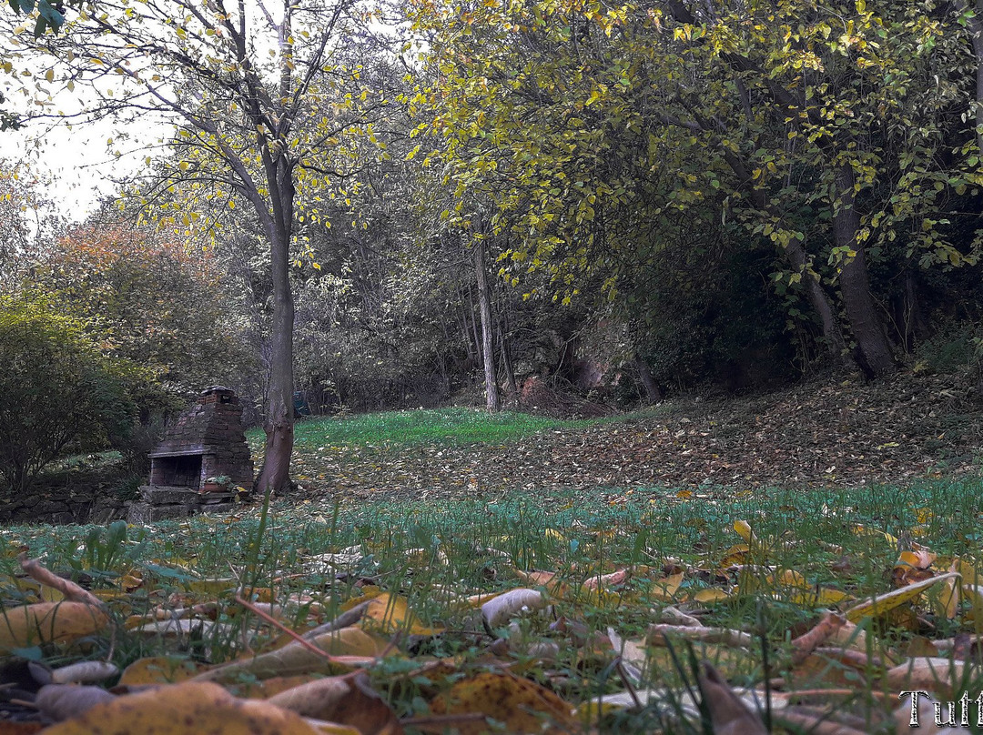 Val Liona旅游攻略图片