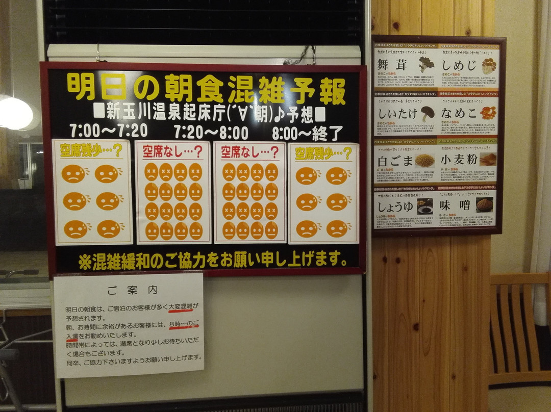 Shintamagawa Onsen主图