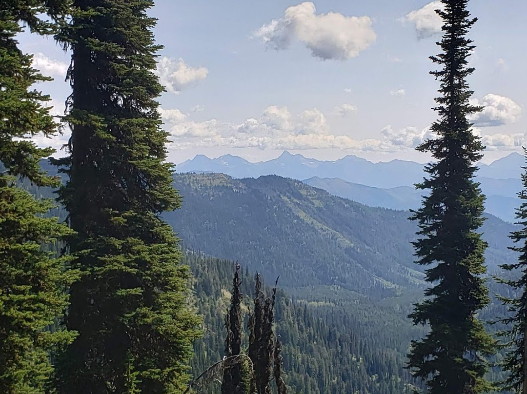 Whitefish Mountain Resort景点图片