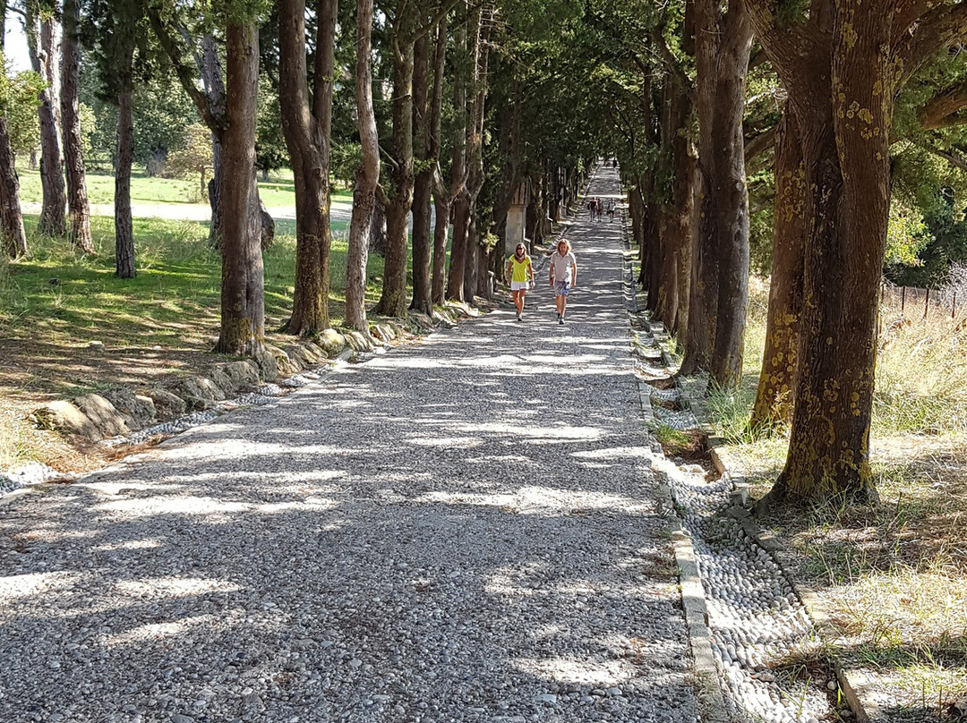 Filerimos Monastery-Filerimos必去景点