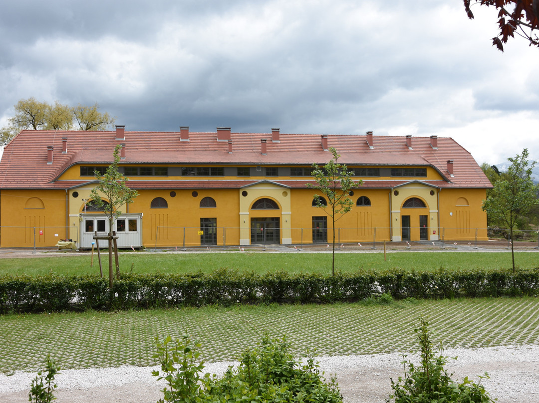 Park Krajobrazowy w Bukowcu景点图片