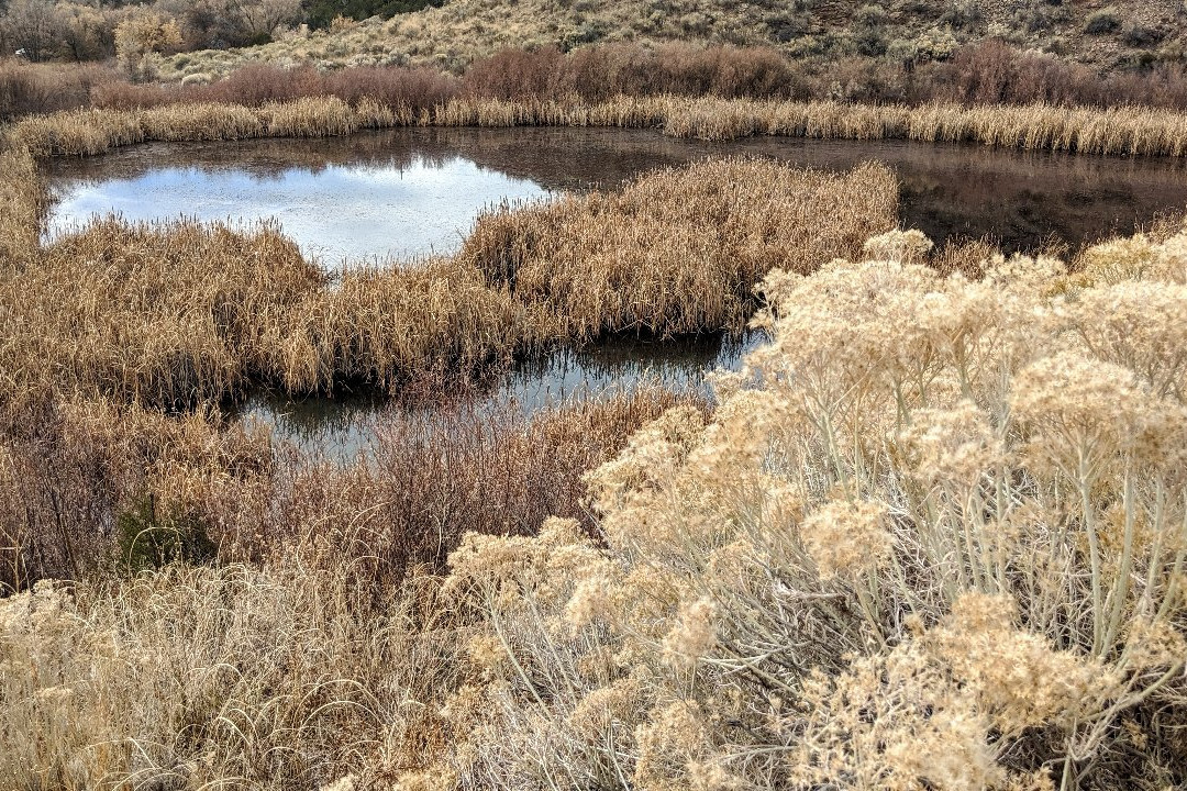Dale Ball Trails-圣菲必去景点