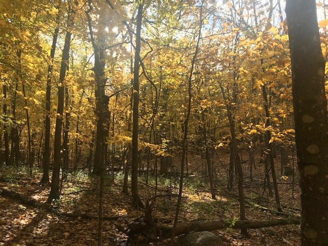 Baker Park Reserve-Maple Plain必去景点