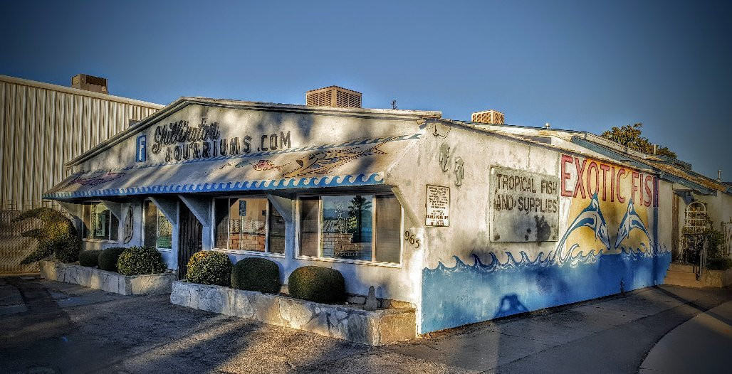 Shillington Aquarium-Calimesa必去景点