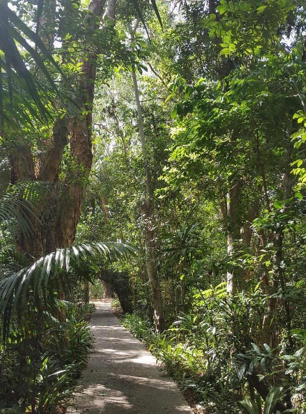 Cairns Botanical Gardens景点图片