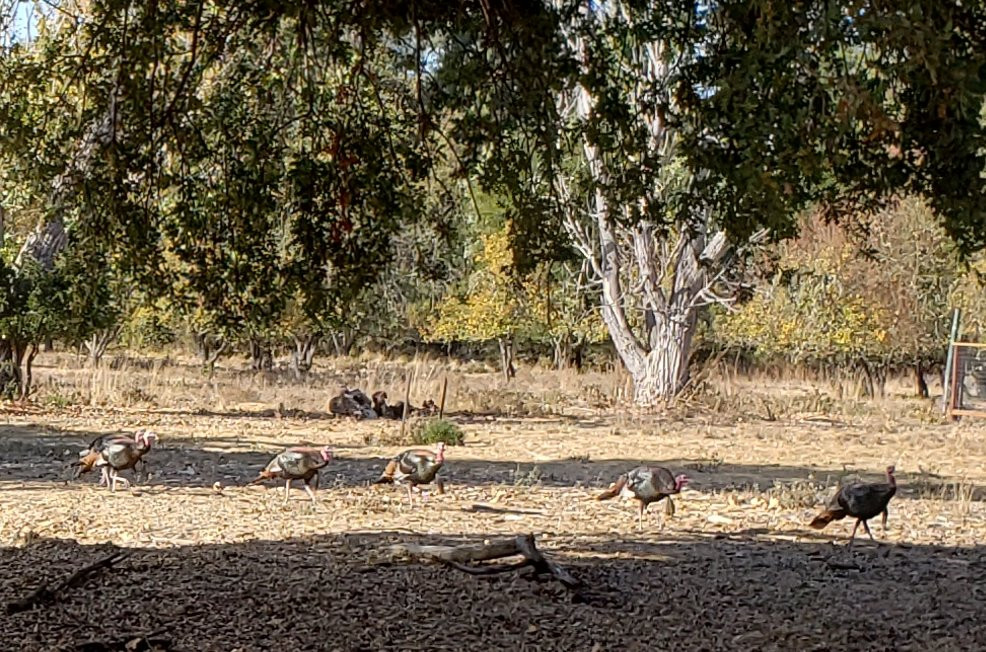 Lafayette Reservoir-Lafayette必去景点