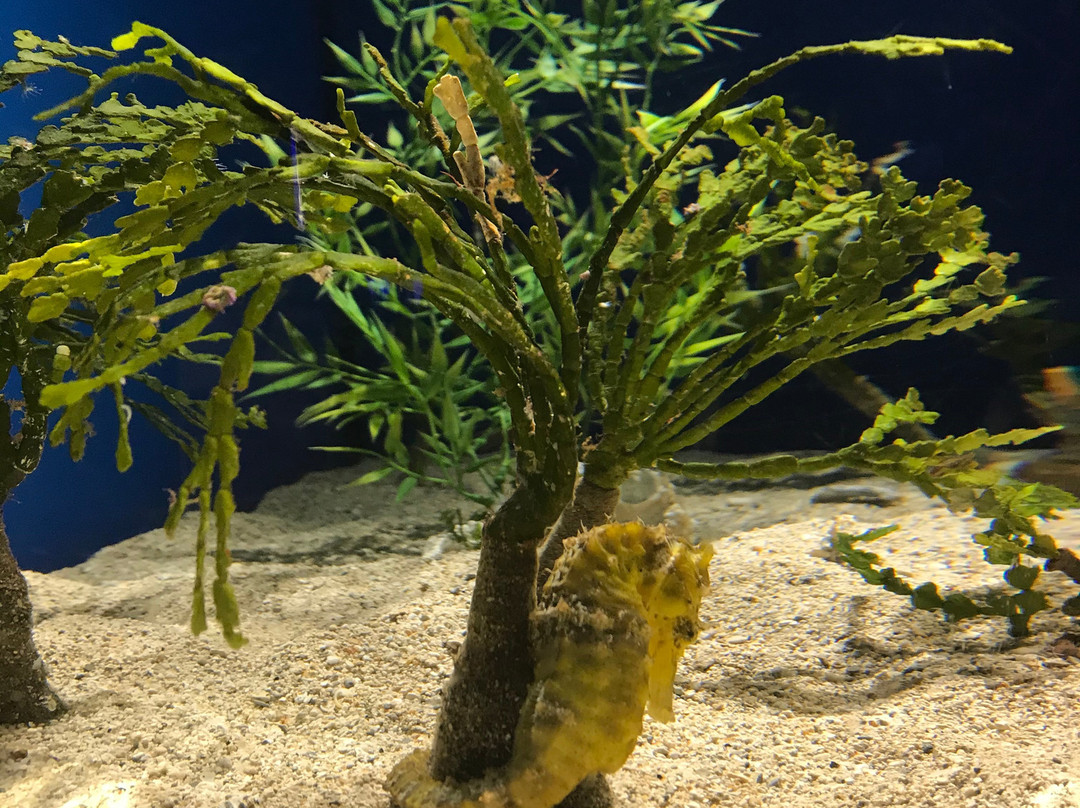 Ocean Science Discovery Center-怀露库必去景点