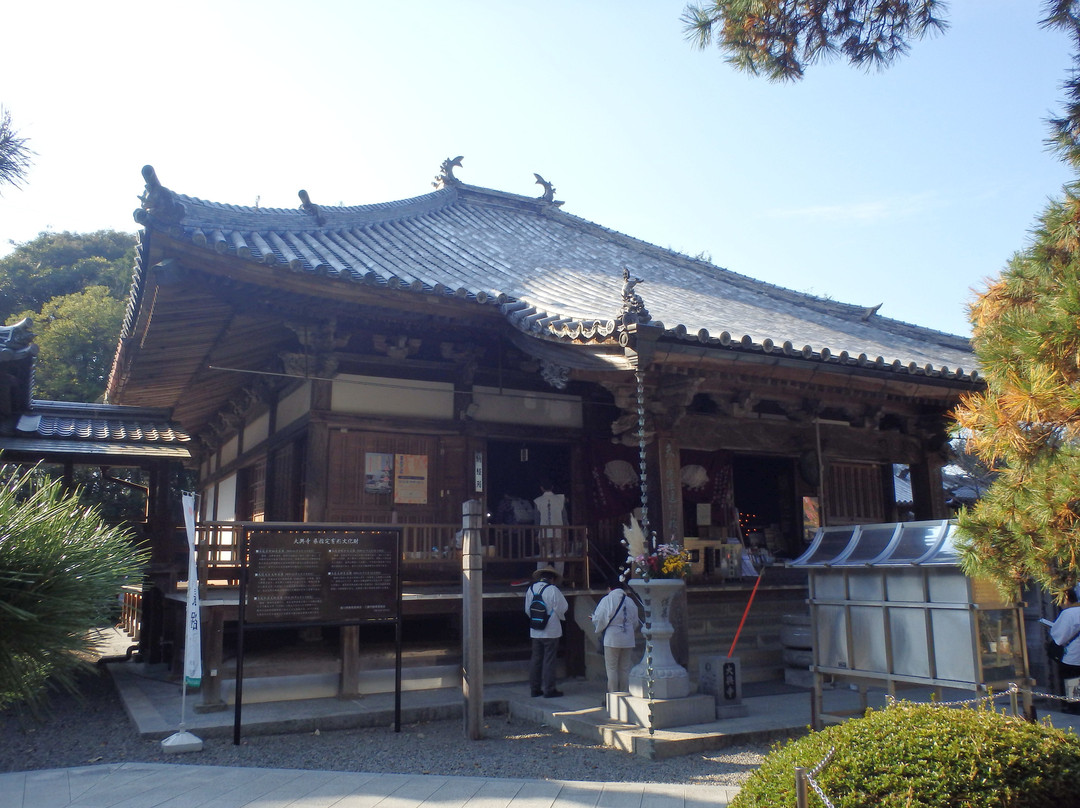 Daikoji Temple景点图片