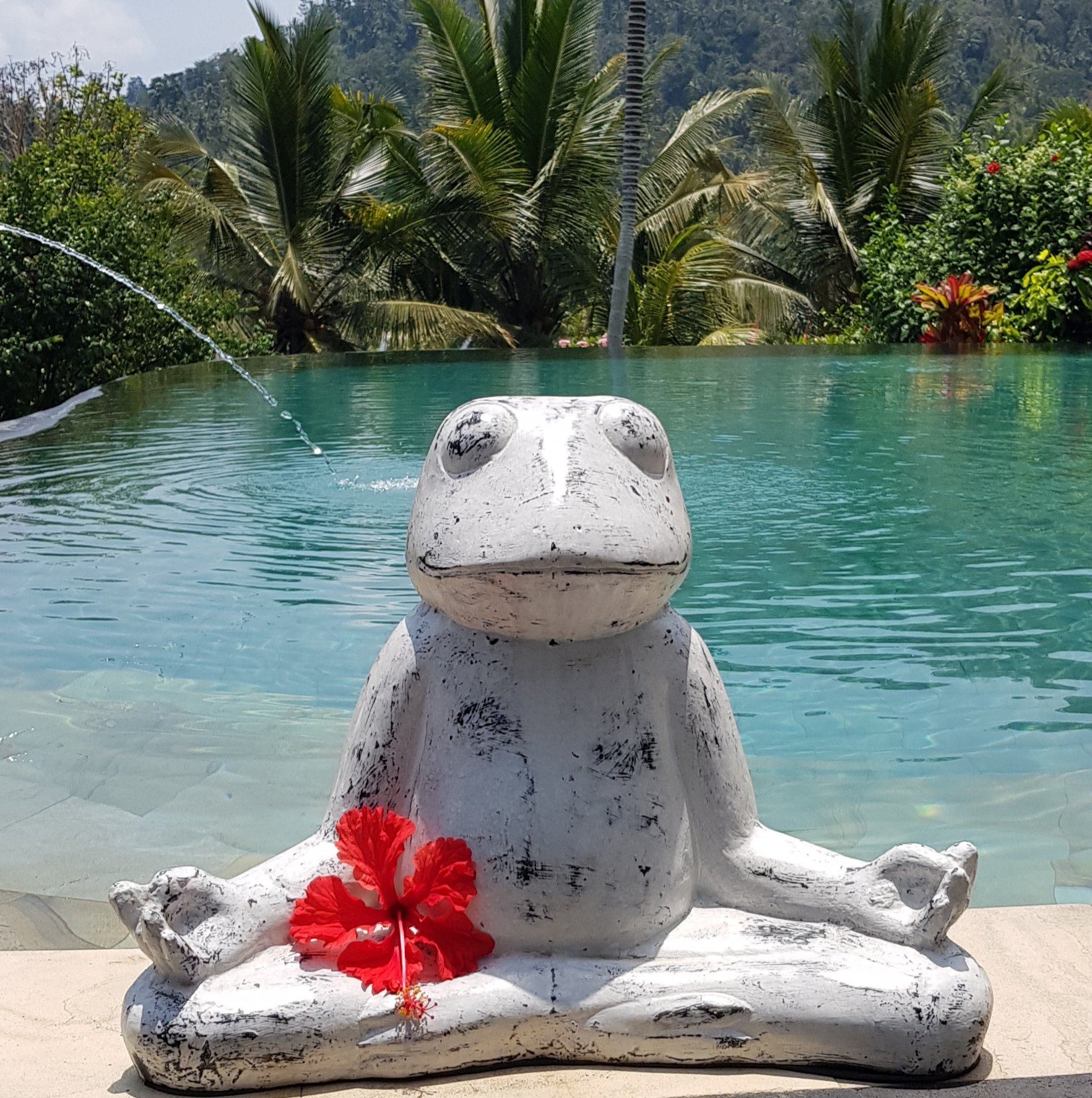 Surya Shanti Villa-泳池