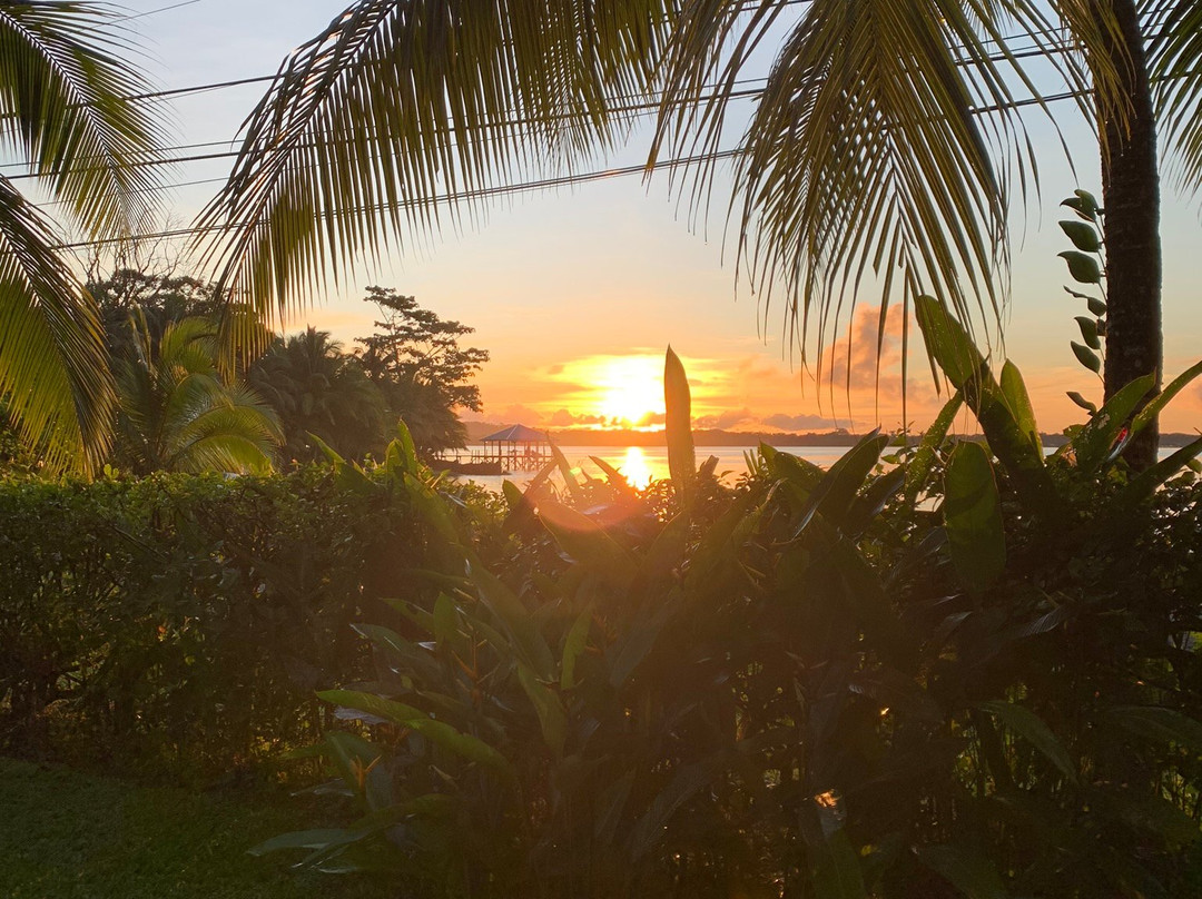 Sand Dollar Beach Bed & Breakfast主图
