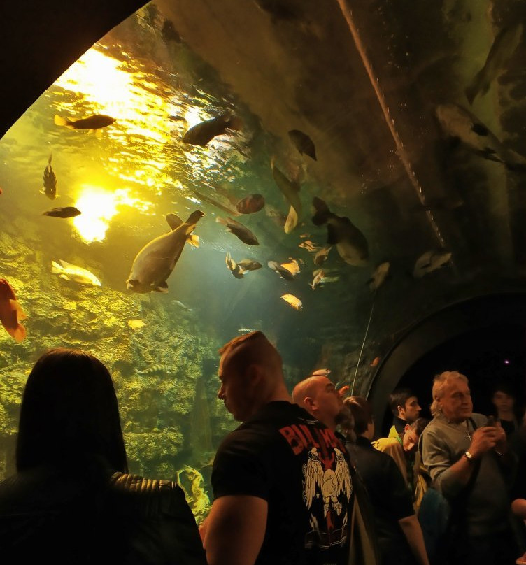 Aquarium Hradec Králové-赫拉德茨克拉洛韦必去景点