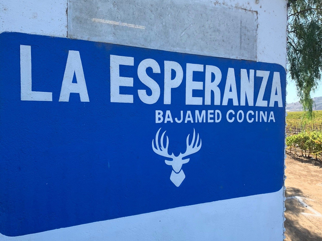 Vino Tinto Tours-Valle de Guadalupe必去景点