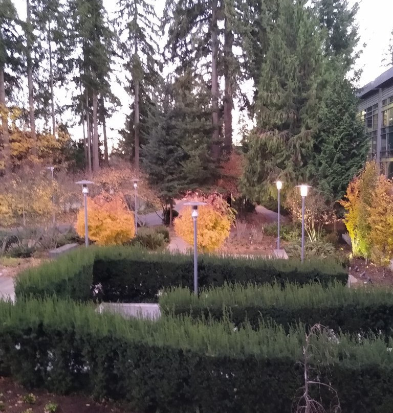 微软游客中心-雷德蒙德必去景点