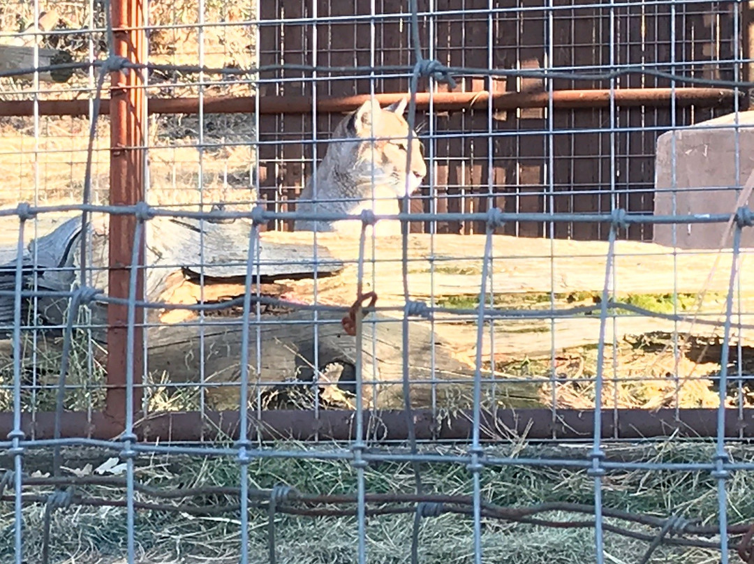 Rocky Mountain Wildlife Park景点图片