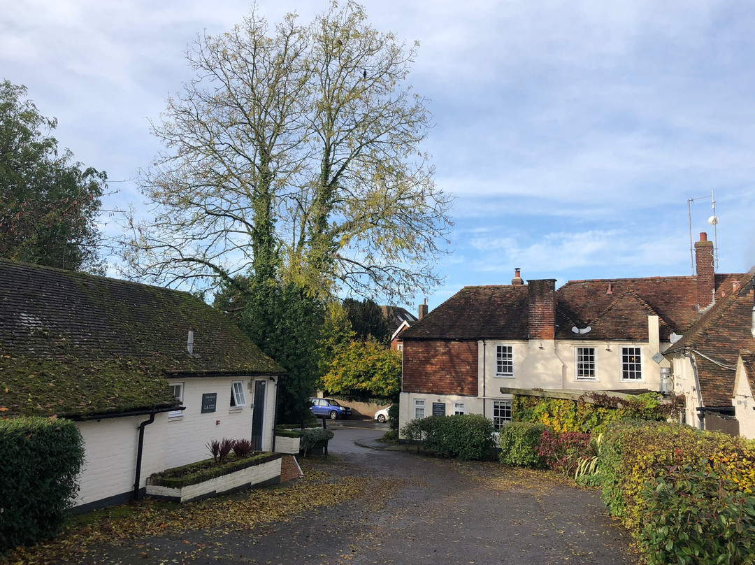 The New Flying Horse Inn主图