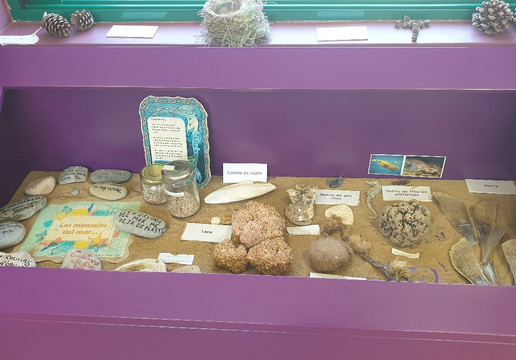 Centro de Visitantes Las Cobaticas