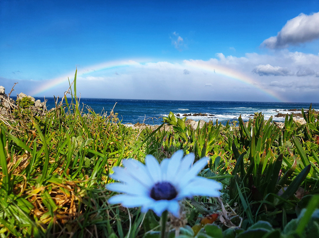 Kleinmond Beach-小月必去景点