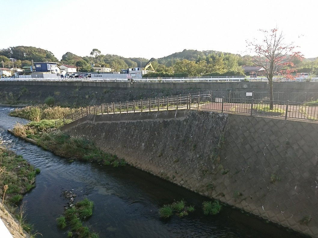 Asao River, Tsurumi River Meeting Point Park景点图片