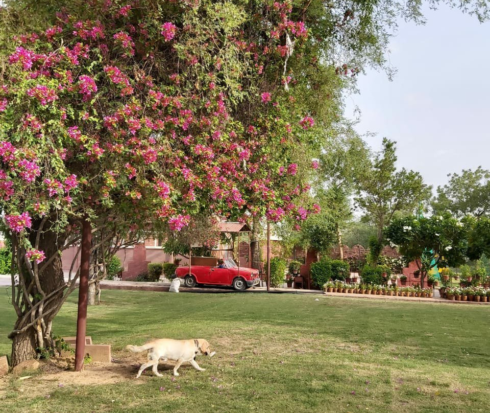 Athulyam Resorts主图