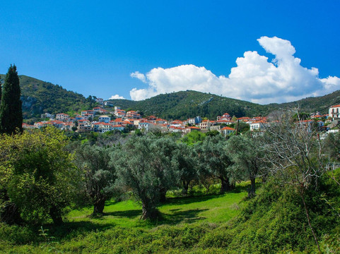 SAFARI TOUR IN EVIA ISLAND-Eretria必去景点