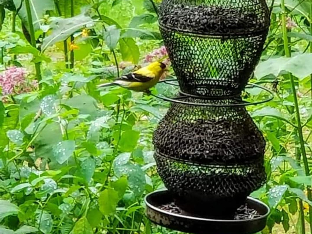 Eden Mill Nature Center-Pylesville必去景点