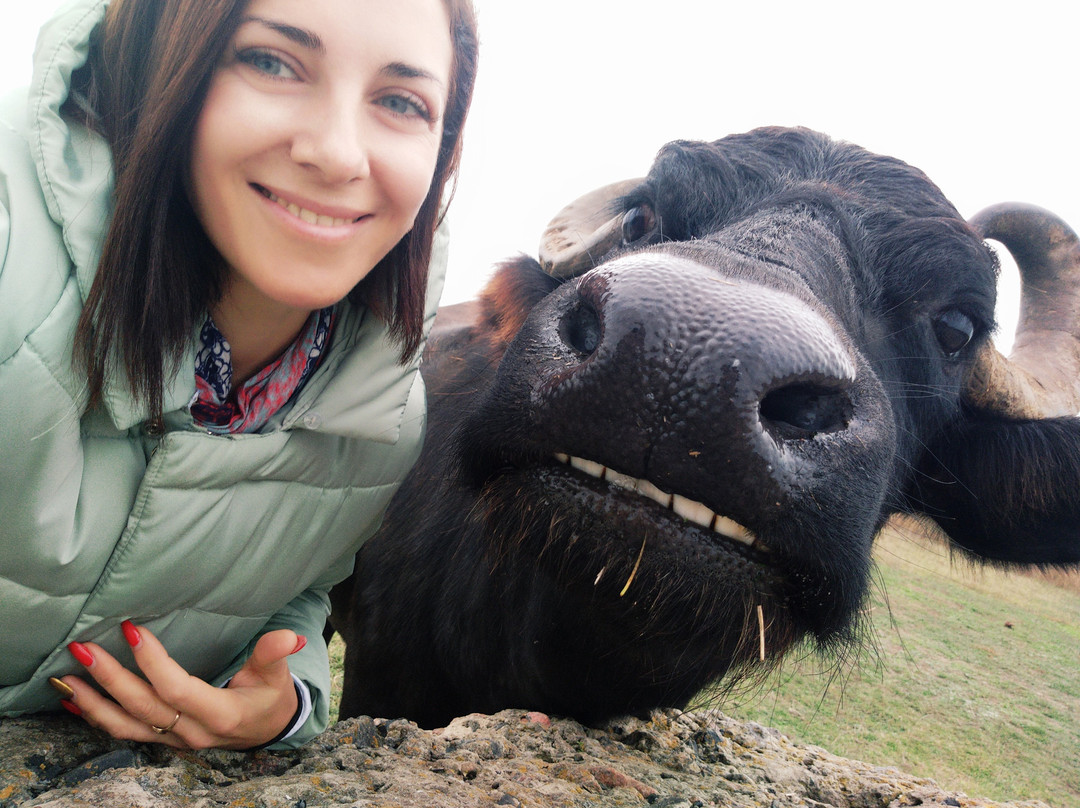 Kartal Eco Park-Orlivka必去景点
