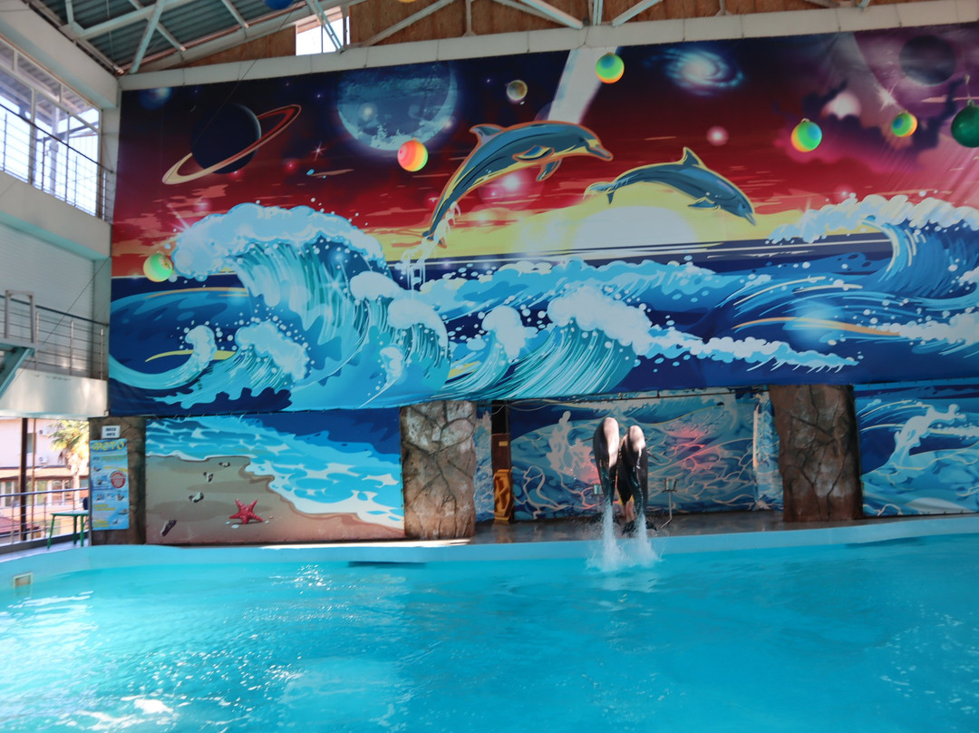 Morskaya Zvezda Dolphinarium景点图片