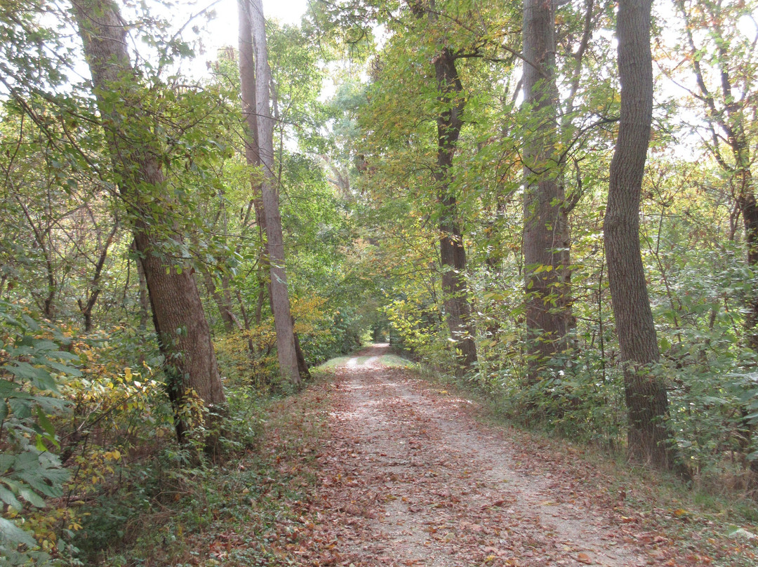 Monocacy Aquaduct景点图片