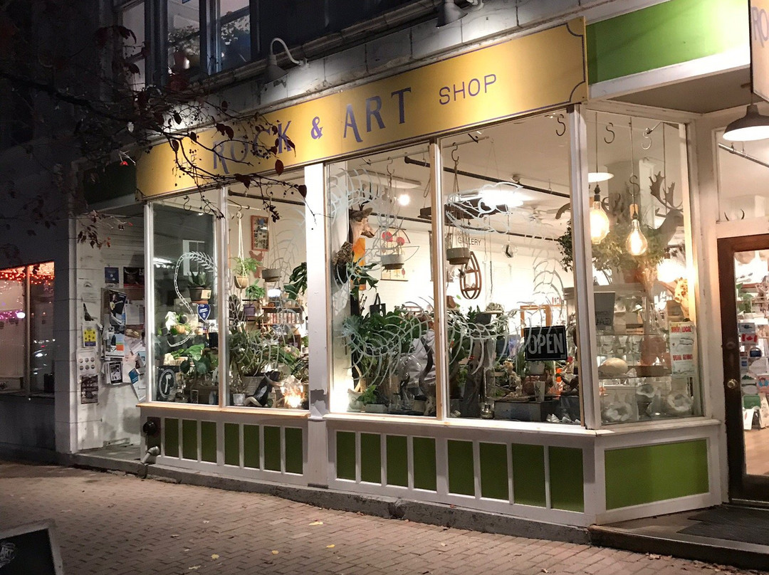 the rock & art shop景点图片