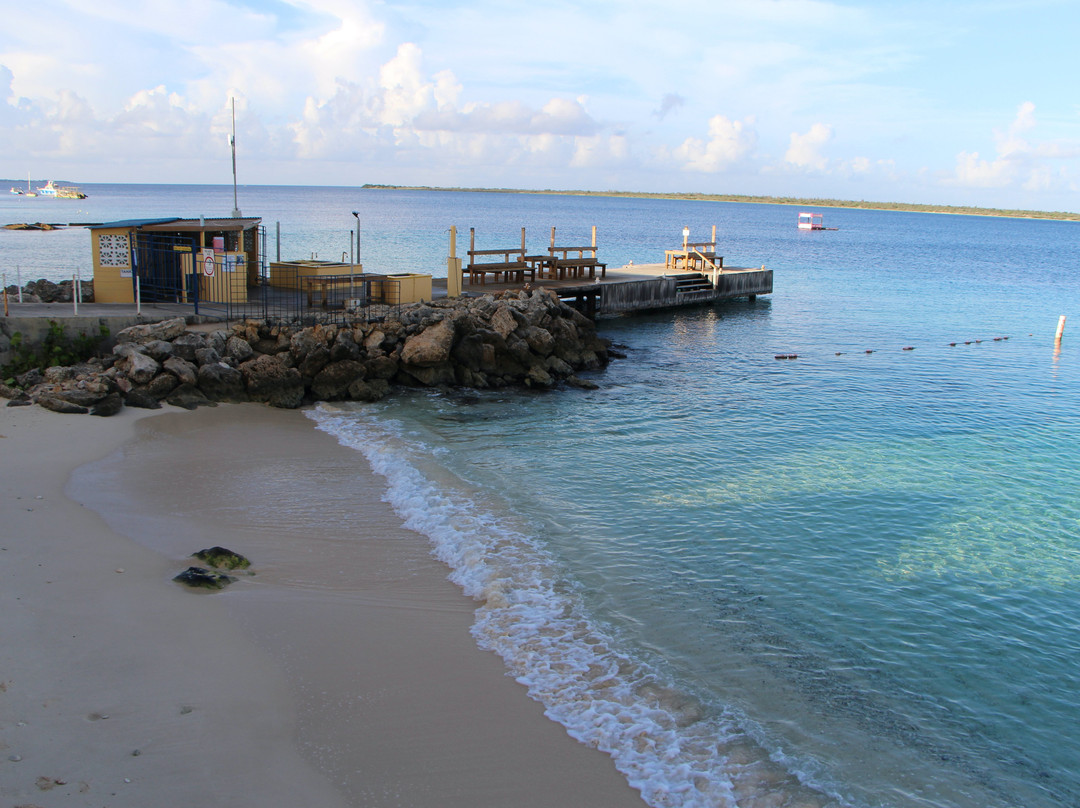 Sand Dollar Bonaire主图