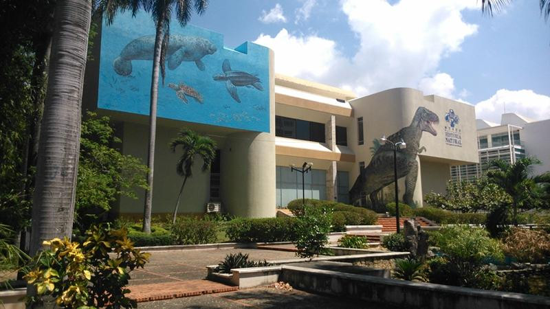 Museo De Historia Natural景点图片