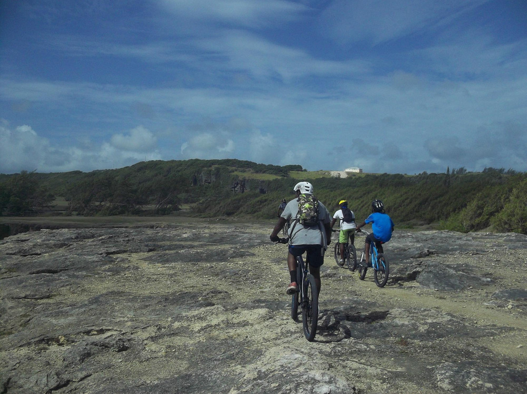 Trailseekers Barbados-Silver Sands必去景点