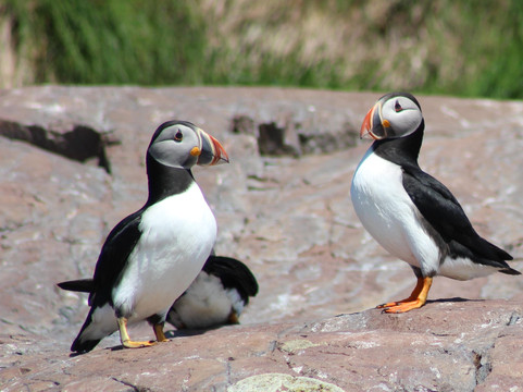 Wildland Tours-圣约翰必去景点