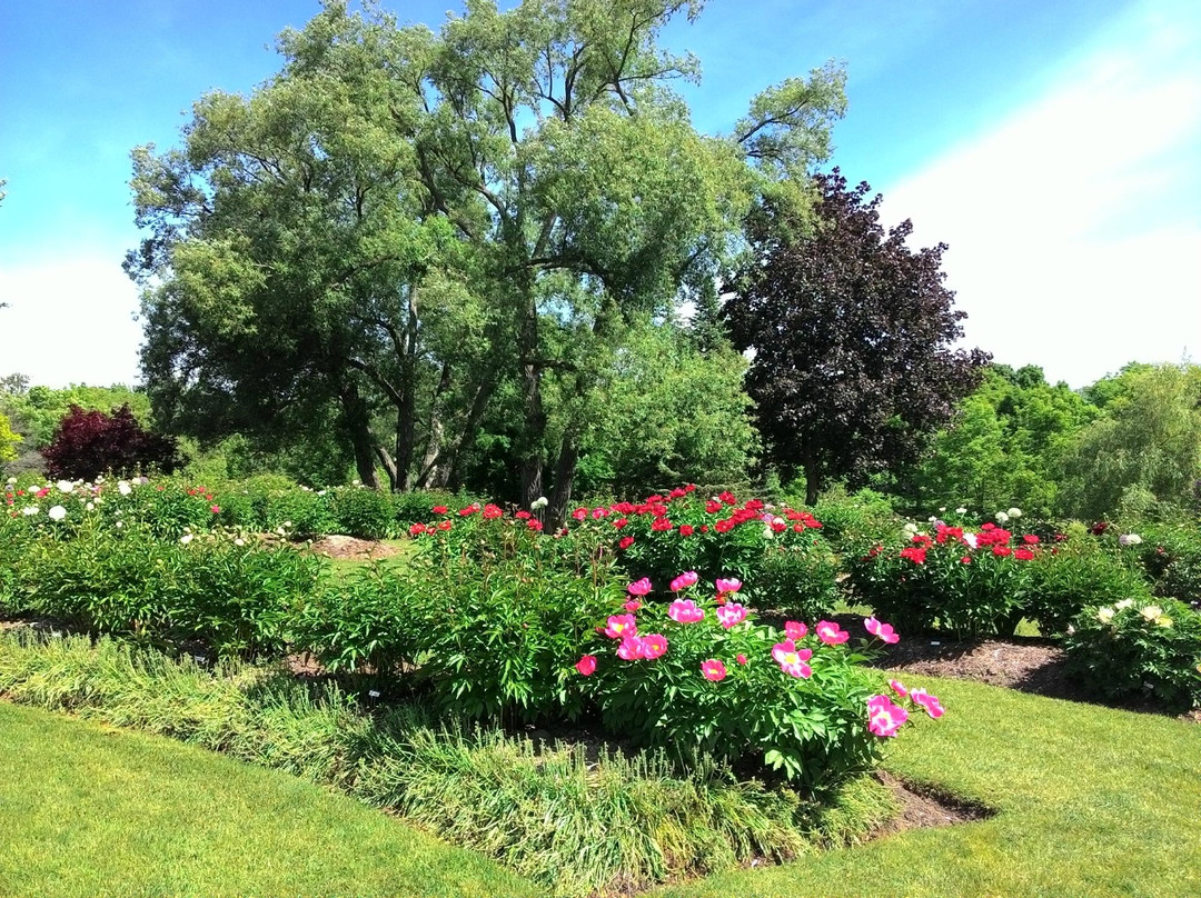 Oshawa Valley Botanical Gardens景点图片