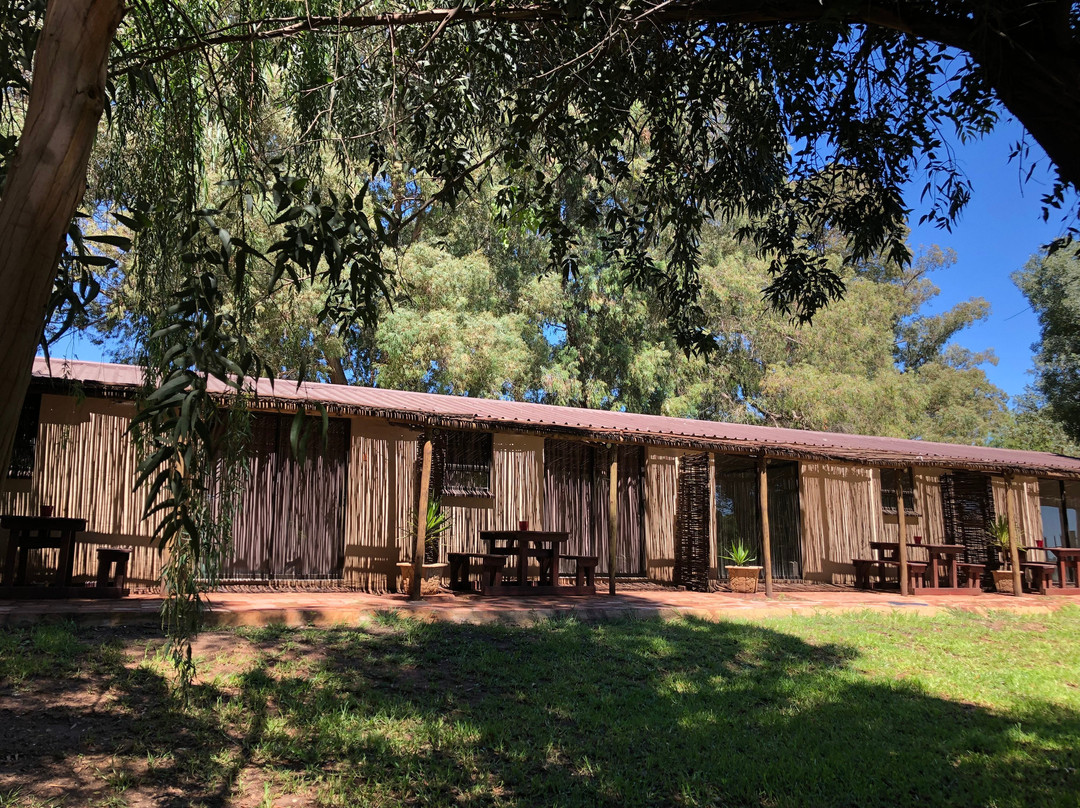 TreeTopia Guesthouse主图