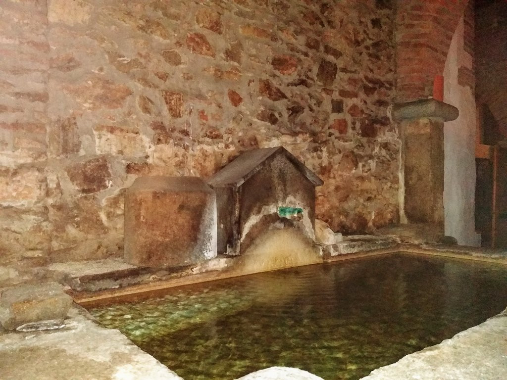 Bodegas Medina景点图片