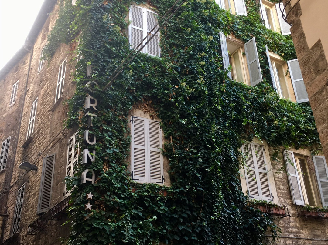 福尔图纳酒店主图
