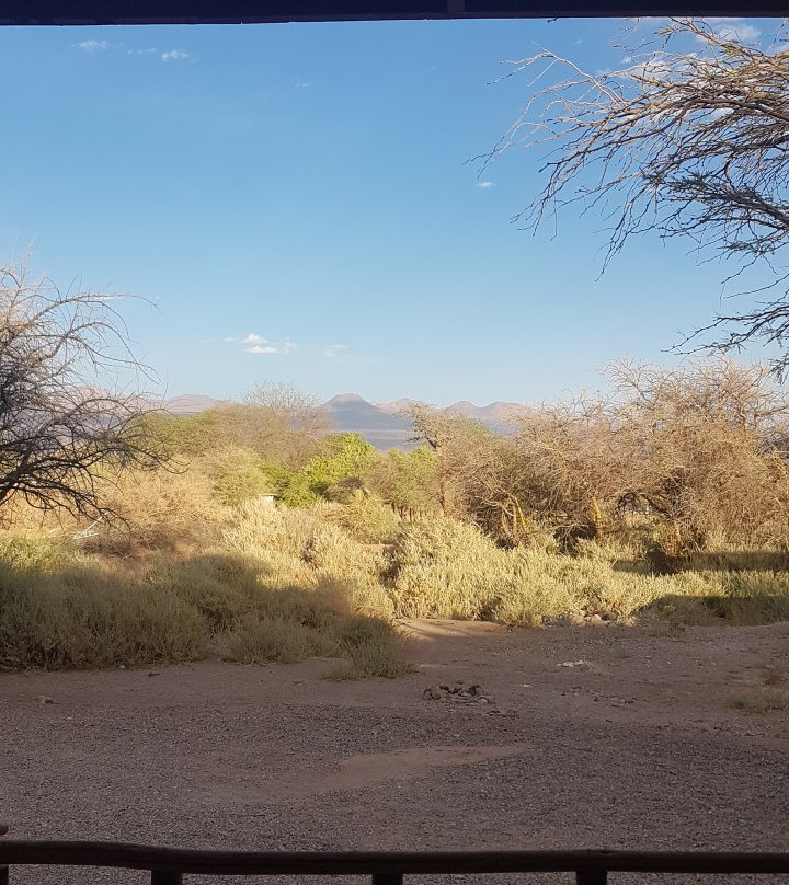 Cabanas Don Sebastian主图