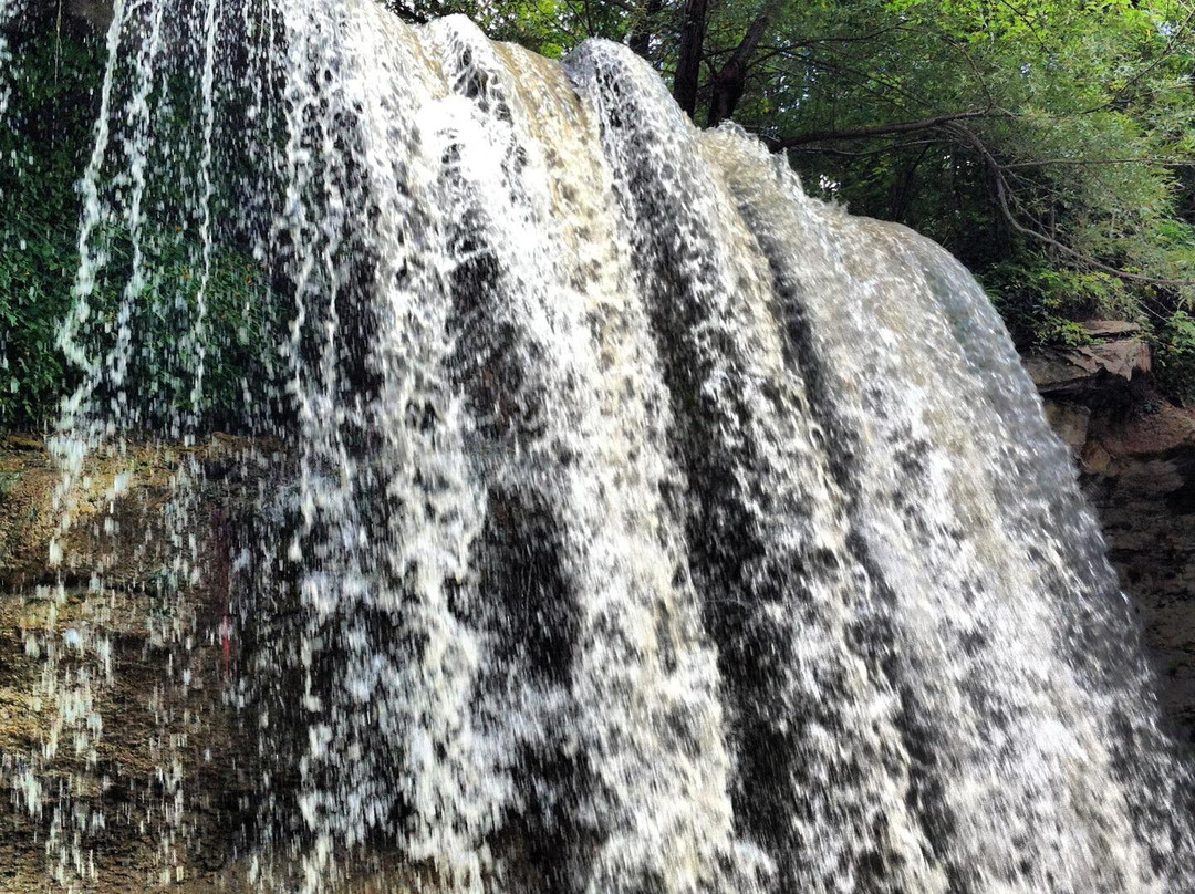Parkhill Conservation Area景点图片
