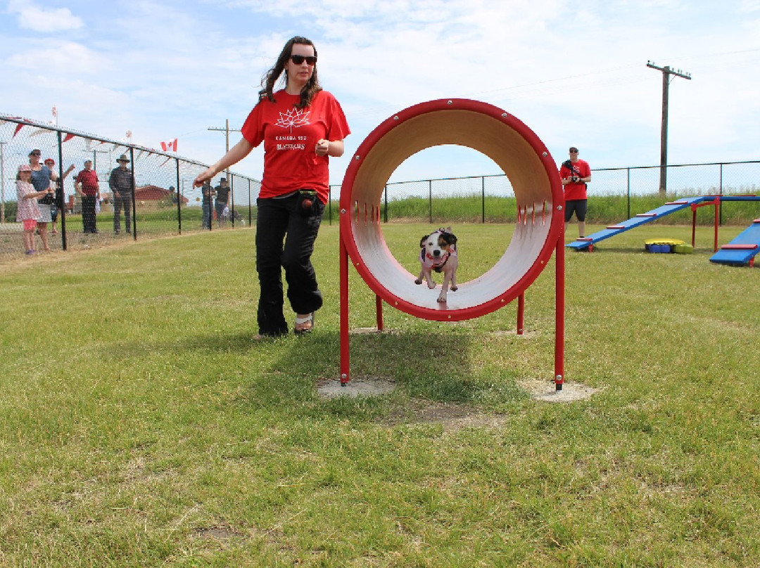 Blackfalds旅游景点-Bark Park