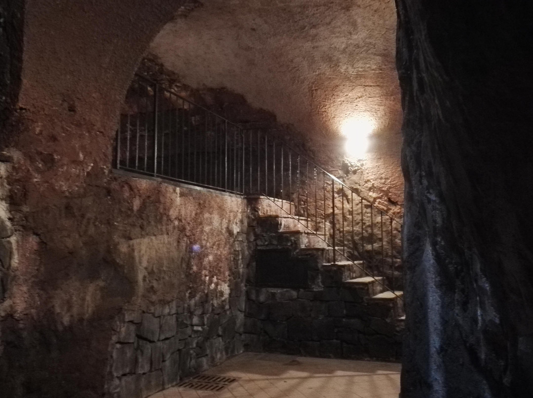 Enotria Wine Experience景点图片