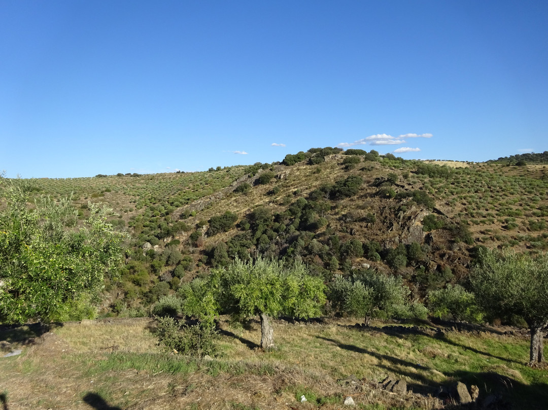 Parque Natural do Douro Internacional景点图片