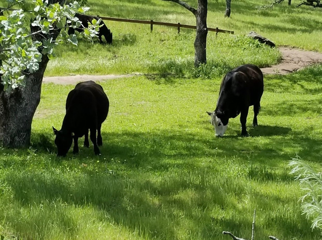 Rockville Hills Regional Park-费尔菲尔德必去景点