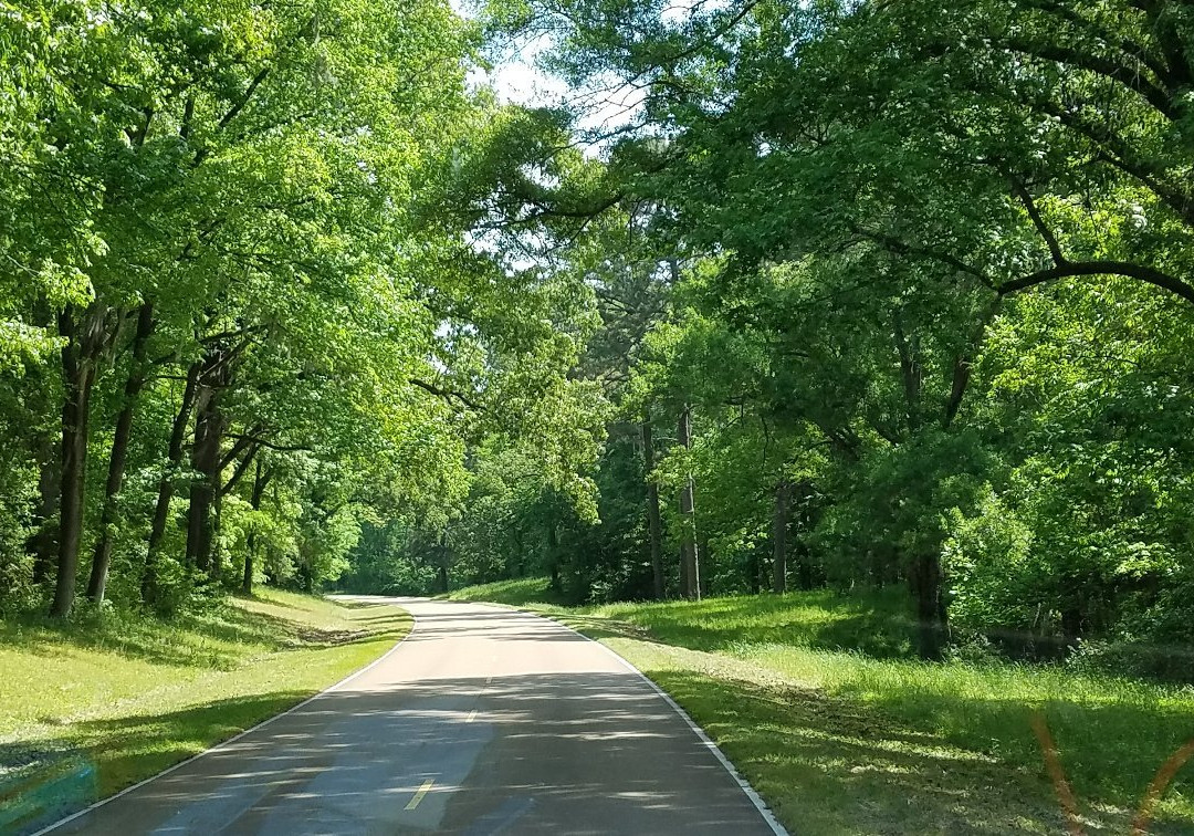 The Natchez Trace Parkway景点图片