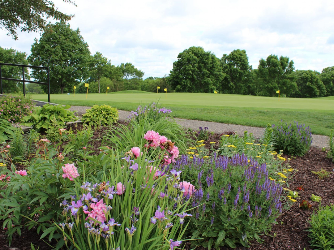Island View Golf Club景点图片