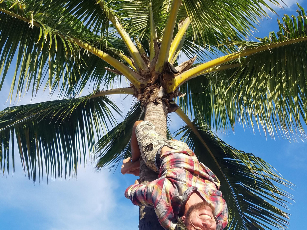 Kolo Kaahanui-Mokuleia必去景点