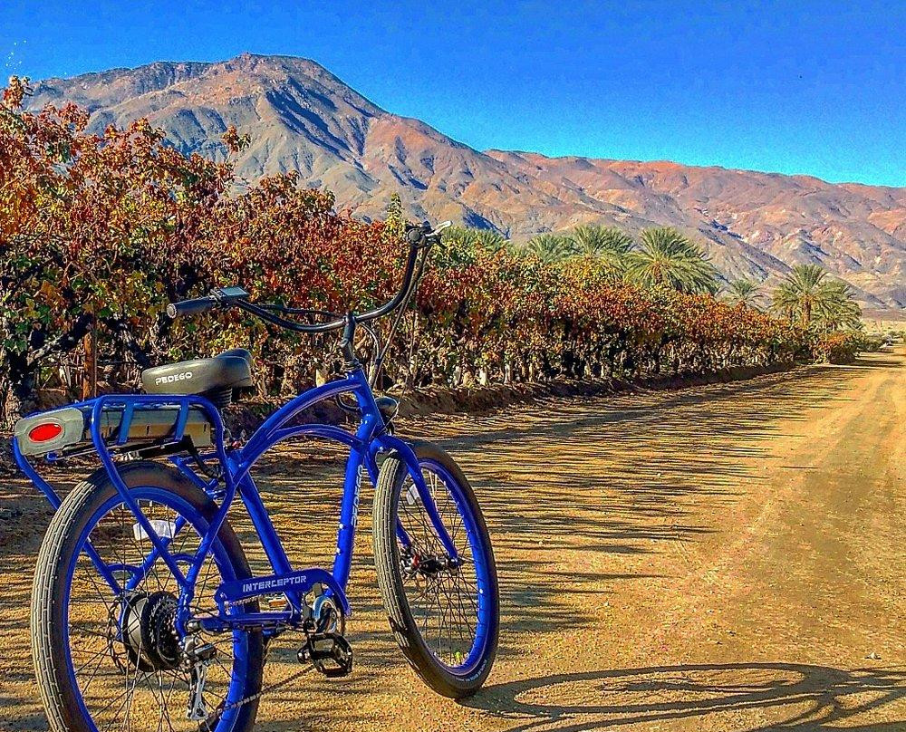 Pedego Electric Bikes La Quinta-拉金塔必去景点