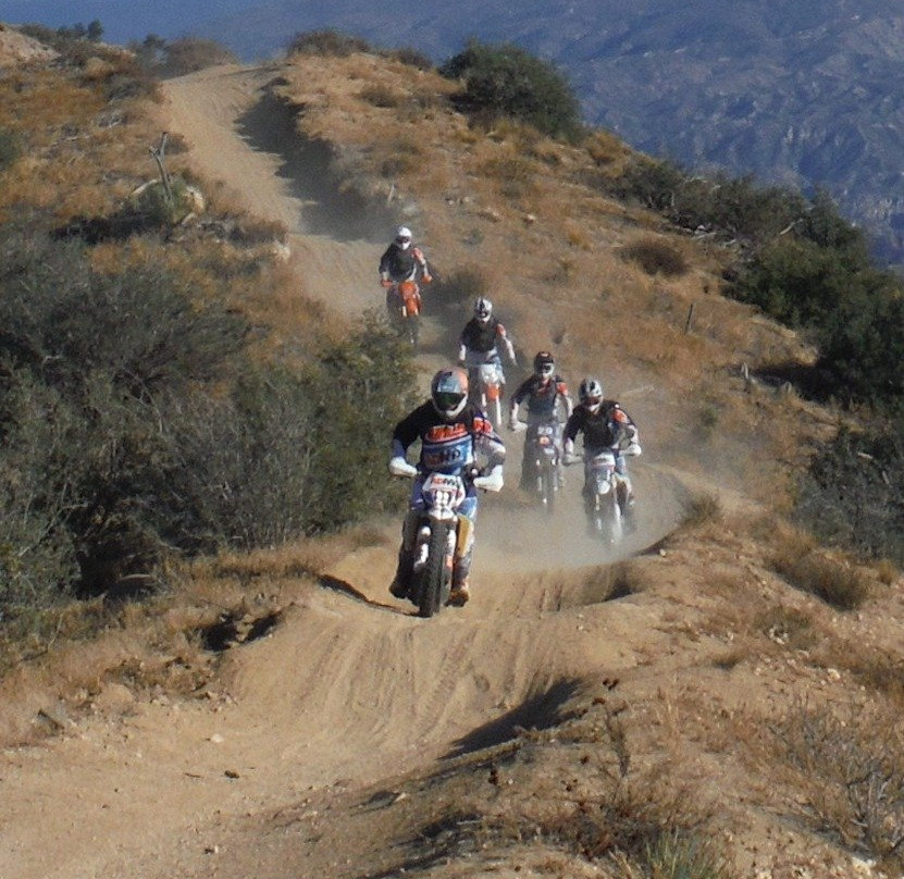 AdMo Tours-Wrightwood必去景点